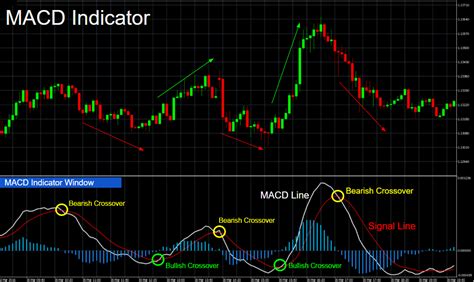 BingX, Supply and Demand, Moving Average Convergence Divergence
